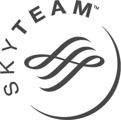 SkyTeam